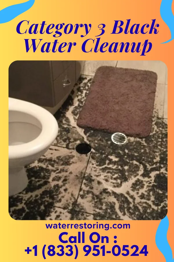 Category 3 Black Water Cleanup in Chewton, PA