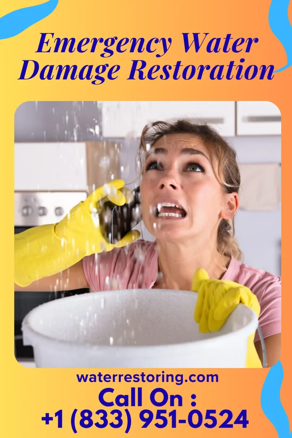 Emergency Water Damage Restoration in Chewton, PA