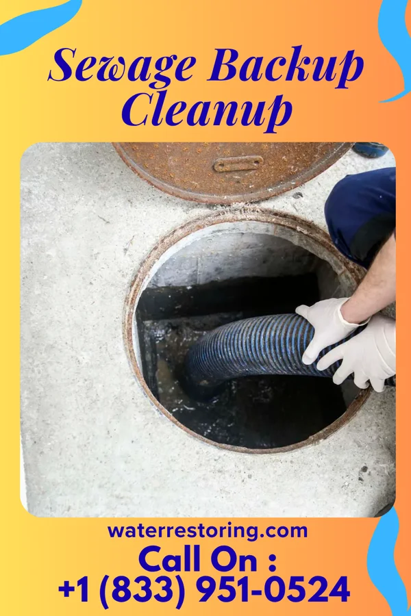 Sewage Backup Cleanup in Chewton, PA