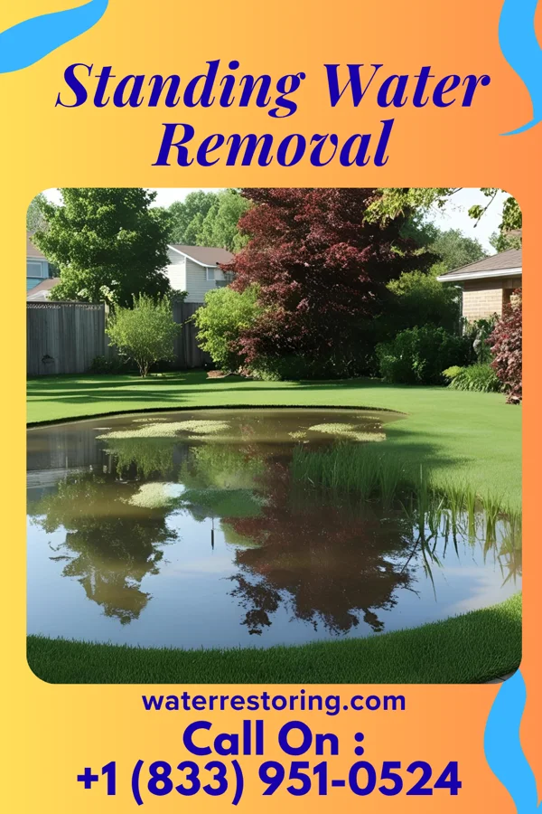 Standing Water Removal in Chewton, PA